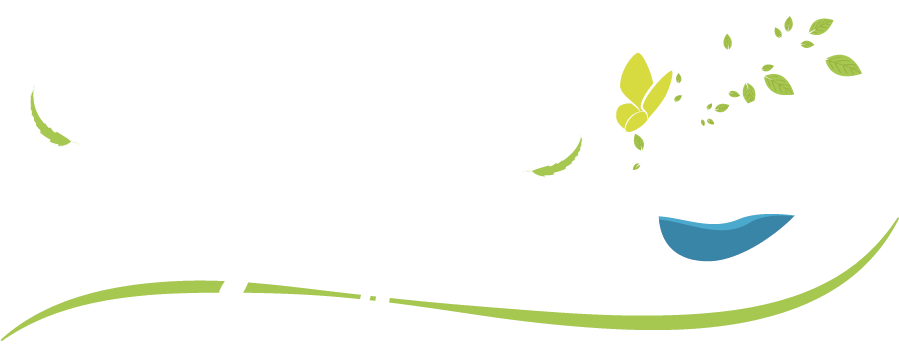 Logo NapheO typo